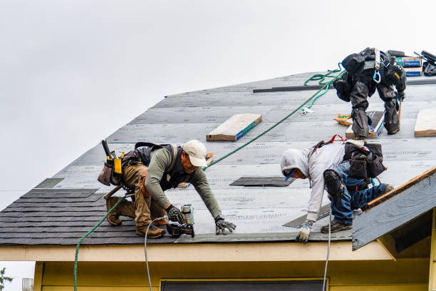 Professional Roof Installation technician working in Toledo, IA